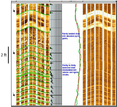 Structural Analysis
